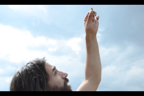 still / picture for Lady, Van And The Free Man