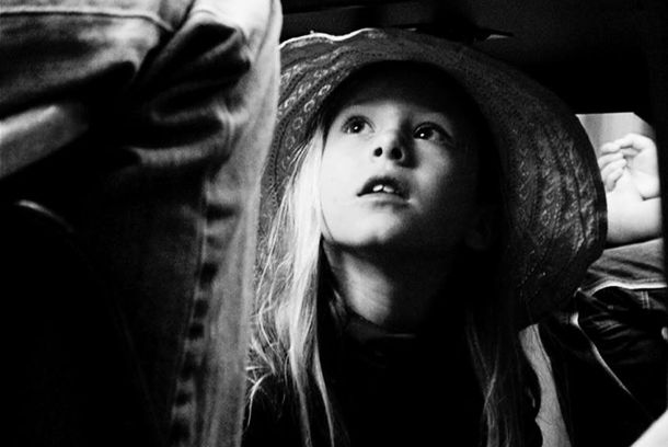 still / picture for APPROACHING THE ELEPHANT