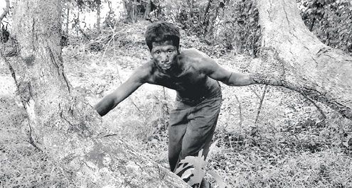 still / picture for Death in the Land of Encantos