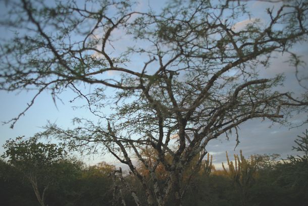 still / picture for Chaco