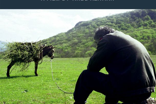 still / picture for The Donkey