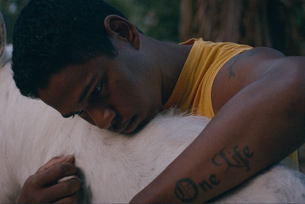 still / picture for LA SOLEDAD