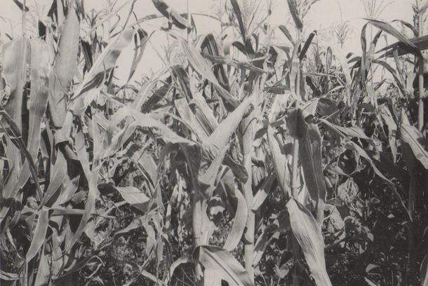 still / picture for Lo que no fuimos