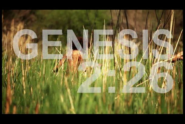 still / picture for Genesis 2:26