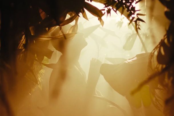 still / picture for What They Call Us - Fever Ray 