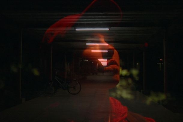 still / picture for Sofia Foi