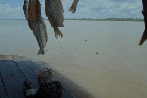 still / picture for El silencio del rio