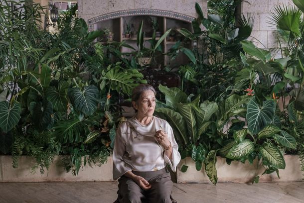 still / picture for Querido Trópico