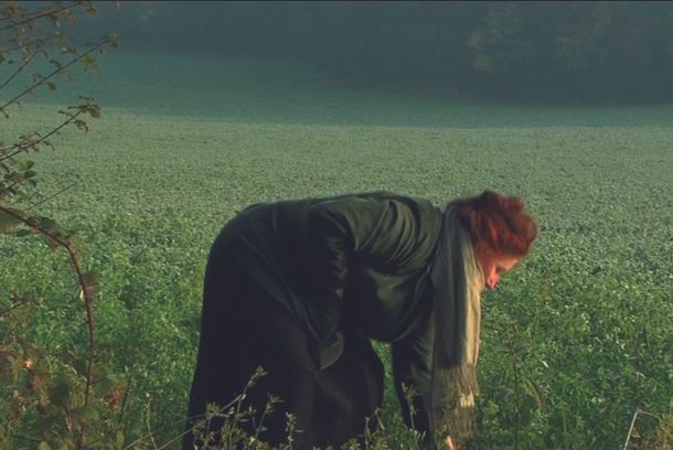still / picture for LAS SASONS