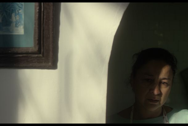still / picture for Mamifera