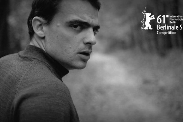 still / picture for Erdő