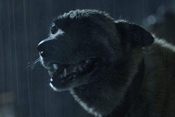 still / picture for O Relâmpago e a Febre