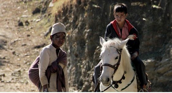 still / picture for KALO POTHI