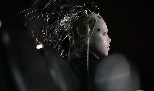 still / picture for Bluebird