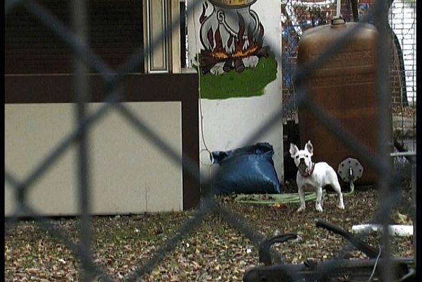 still / picture for The Investigation