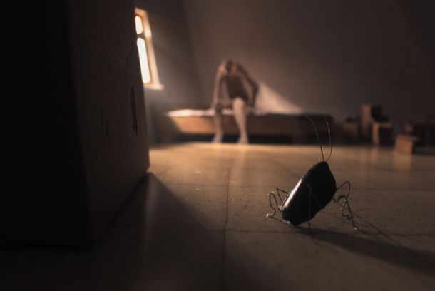 still / picture for Under the Small Sun