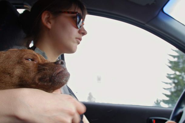 still / picture for Røverdatter/ Räubertochter