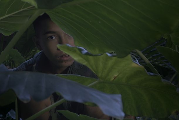 still / picture for La Forma del Caimán