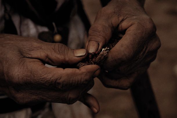 still / picture for Ava Mocoi, Os Gêmeos