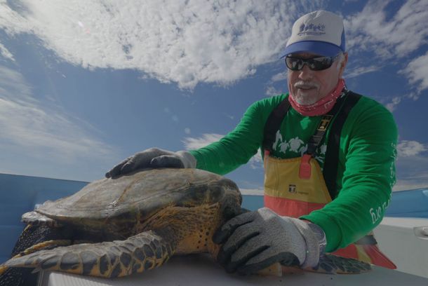 still / picture for Mundo Tortuga