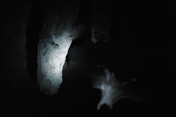 still / picture for Esseri