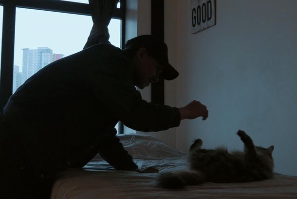 still / picture for The still life of Harley Prosper 