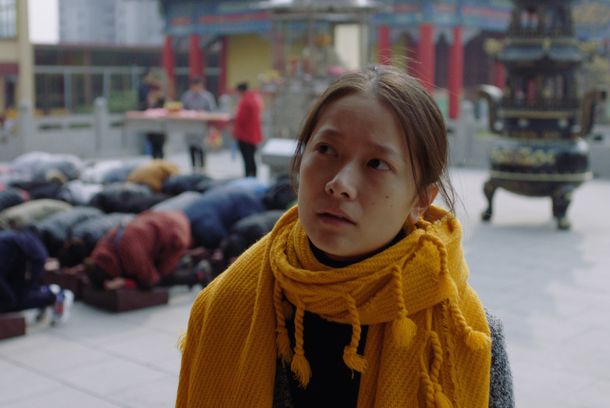 still / picture for LOST LOTUS