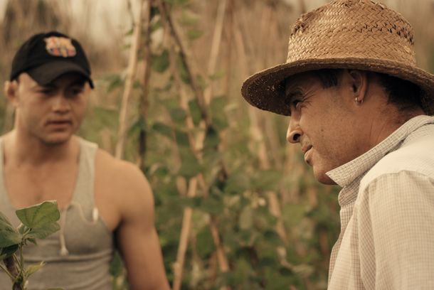 still / picture for La Plaga (The Plague)