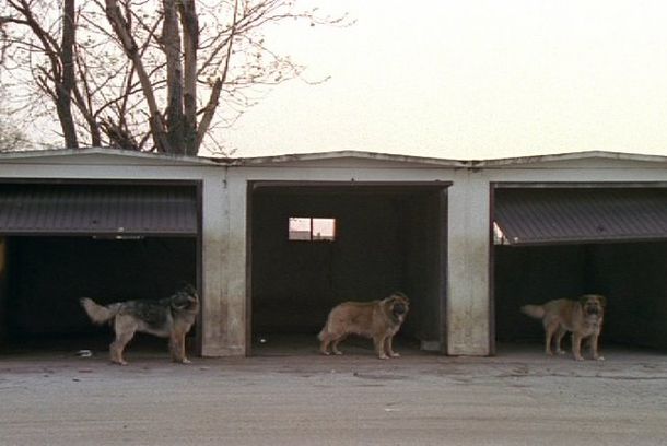 still / picture for Land of Joy
