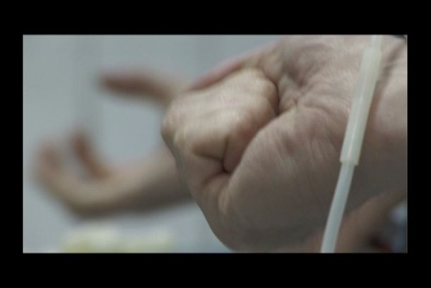 still / picture for Bloodcircle (Krwiobieg)