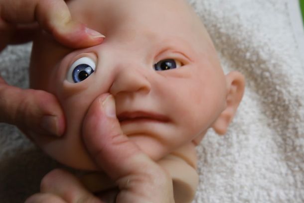 still / picture for The Reborns