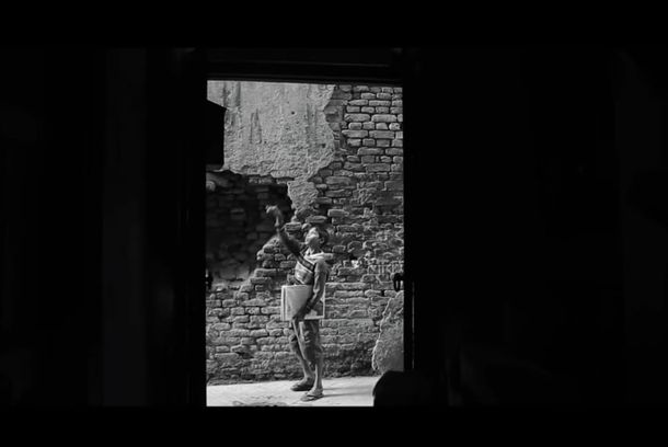 still / picture for The Paper Boy