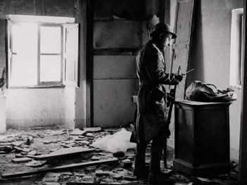 still / picture for Chat Noir