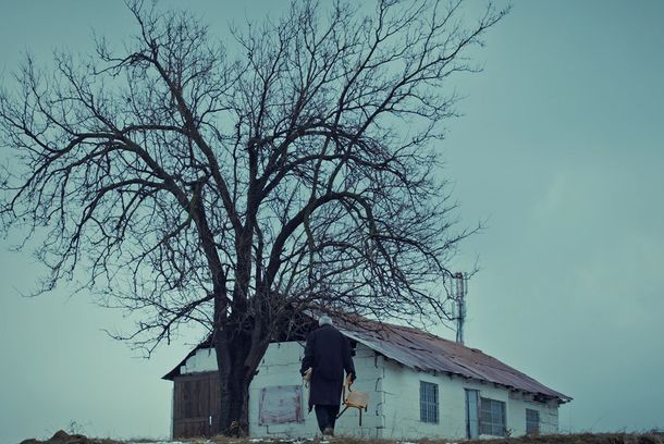 still / picture for Comma