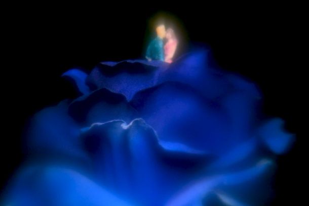 still / picture for Memory Play