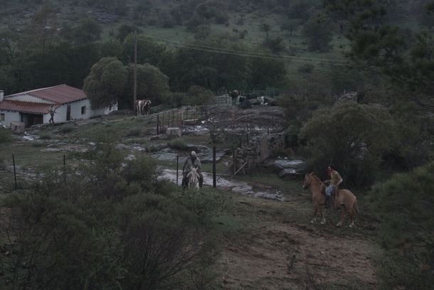 still / picture for La fiebre que espera despertar