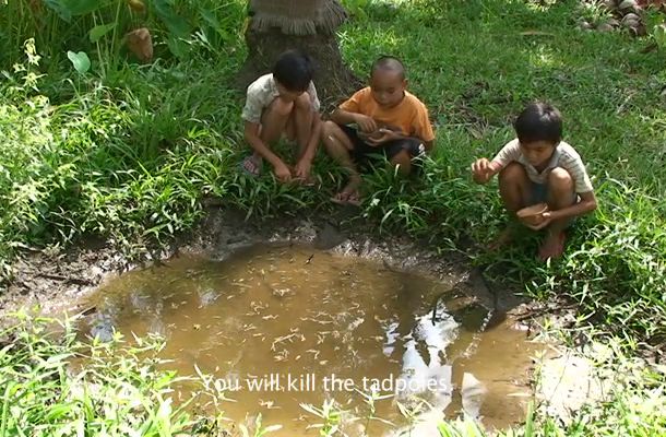 still / picture for Obscured Histories and Silent Longings of Daguluan’s Children