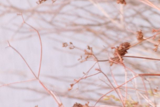 still / picture for Jeevithaye Mayawa