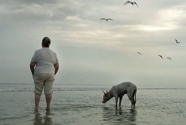still / picture for SILENCIO EN LA TIERRA DE LOS SUEÑOS