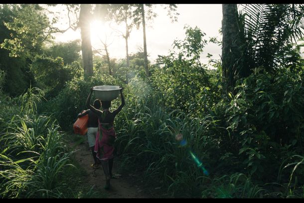 still / picture for Ativio, les morceaux de bois