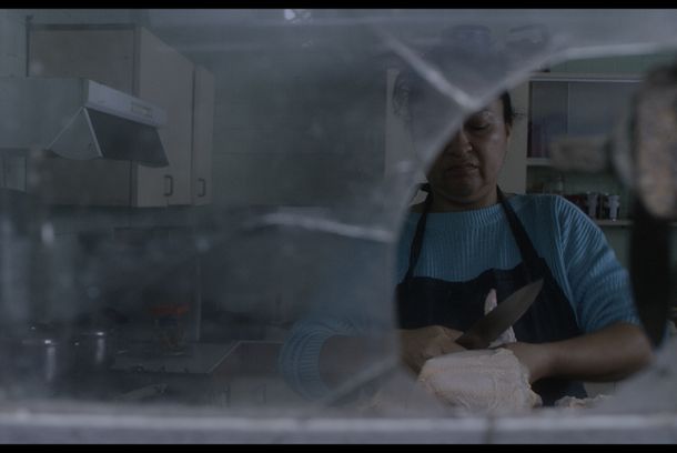 still / picture for Mamifera