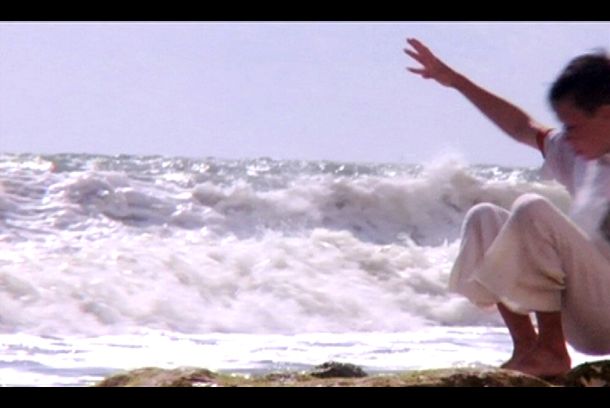 still / picture for Animalz