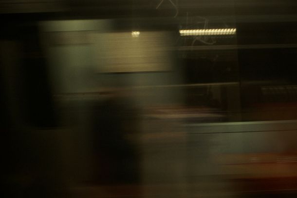 still / picture for A Rosa Nasce Nas Pedras