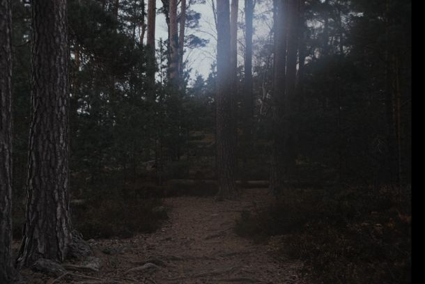 still / picture for Moheda