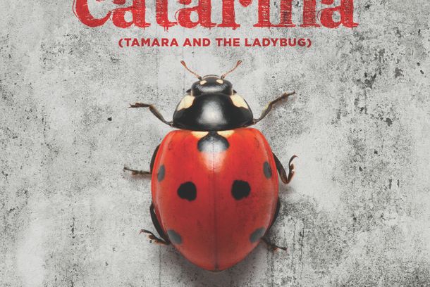 still / picture for Tamara y La Catarina