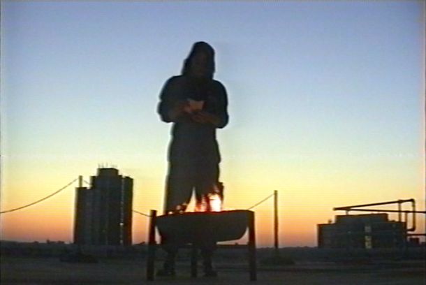 still / picture for Do Not Feed the Pigeons
