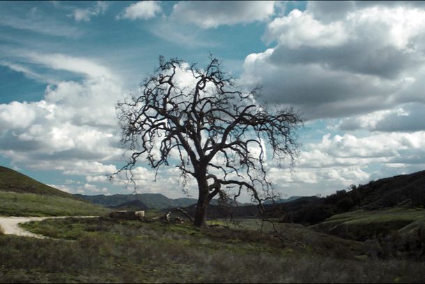 still / picture for The Bravest