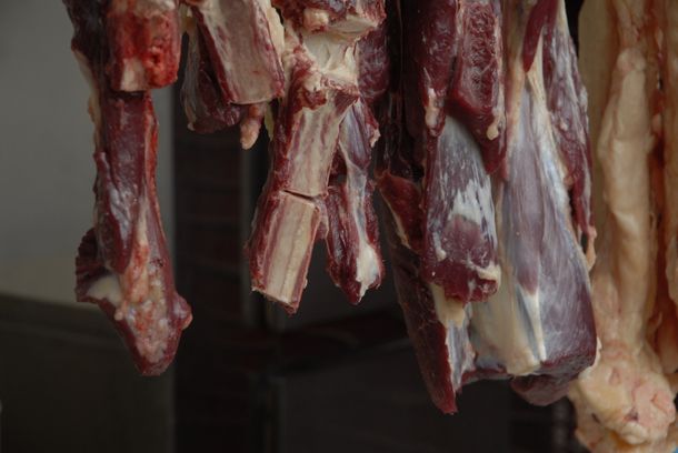 still / picture for Vacas / Cows