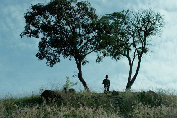 still / picture for Libélula