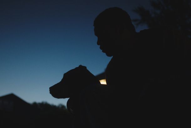 still / picture for Young King